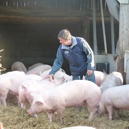 La Ferme Chauvet Chantenay-Villedieu